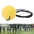thumbnail image 1 of Lacrosse Ball, Comfortable Grip Lacrosse Training Ball  for School Game, 1 of 8