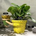 thumbnail image 4 of Indoor Plant Pot, Unique Cute Embrace Baby Double Flower Pot, 5.1" Cactus Planters with Drainage, Interior Outdoor Plants Succulent Pots, Plant Lover Gift, Decorative Novelty Planter(Light Yellow), 4 of 13