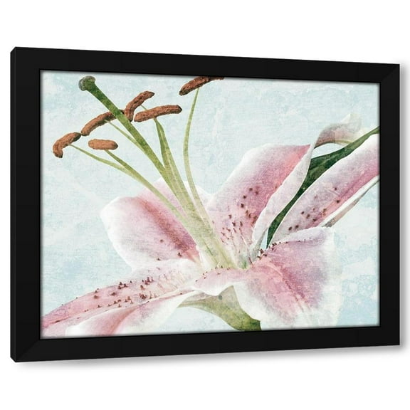 Marcus Prime 14x12 Black Modern Wood Framed Wall Art Titled - Lily Love 1