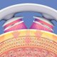 thumbnail image 2 of Electric Pulse Neck Massager Cordless Intelligent Neck Massager With Heat 15 Levels Deep Tissue Trigger Point Massager, 2 of 4