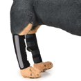 thumbnail image 4 of Corvejón para perros Sincero transpirable Soporte rodillera, 4 of 6