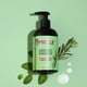 thumbnail image 4 of American Mielle Champú Fortalecedor Romero Menta 355ml Natural y Orgánico Promueve la Circulación, 4 of 4