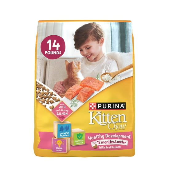 Purina Kitten Chow Healthy Development with Real Salmon Cat Food, 14 lb Bag