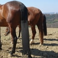 thumbnail image 5 of Horse Protection Keep The Tail Clean Equine Tail Decoration Tail Wrap for Protect Equestrian Equipment black, 5 of 7