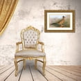thumbnail image 3 of Archer, Ken 18x13 Gold Ornate Wood Framed with Double Matting Museum Art Print Titled - Greater roadrunner, 3 of 4