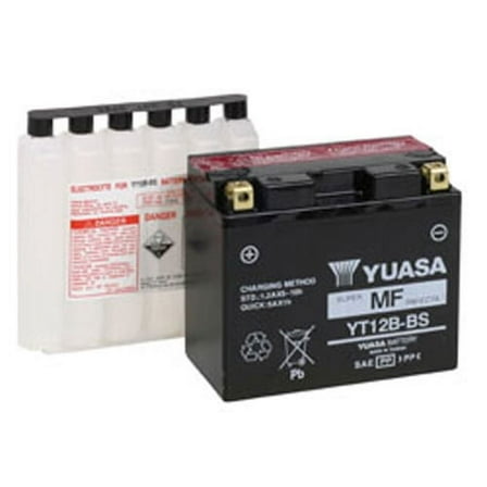 Yuasa Maintenance Free AGM 12 Volt Automotive Battery, 210 CCA