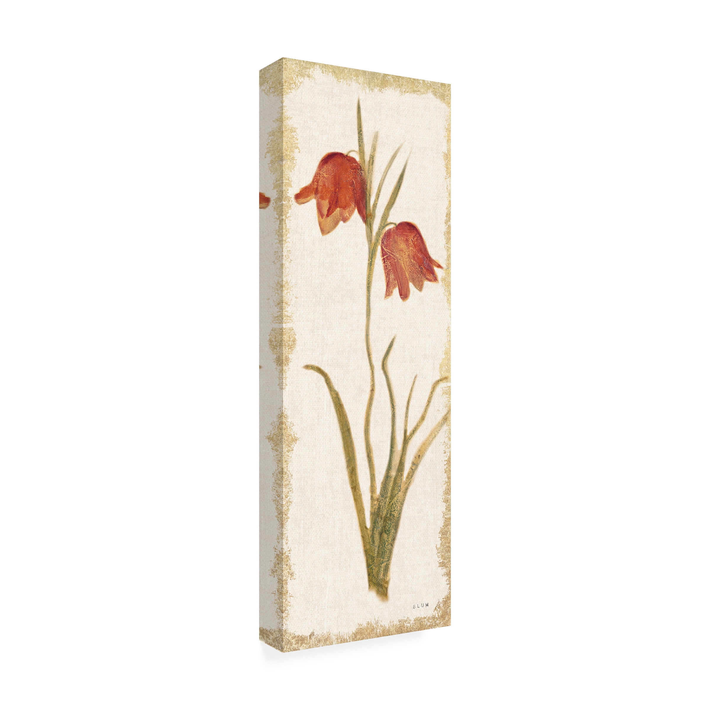 Cheri Blum 'Red Tulip Panel Light' Canvas Art