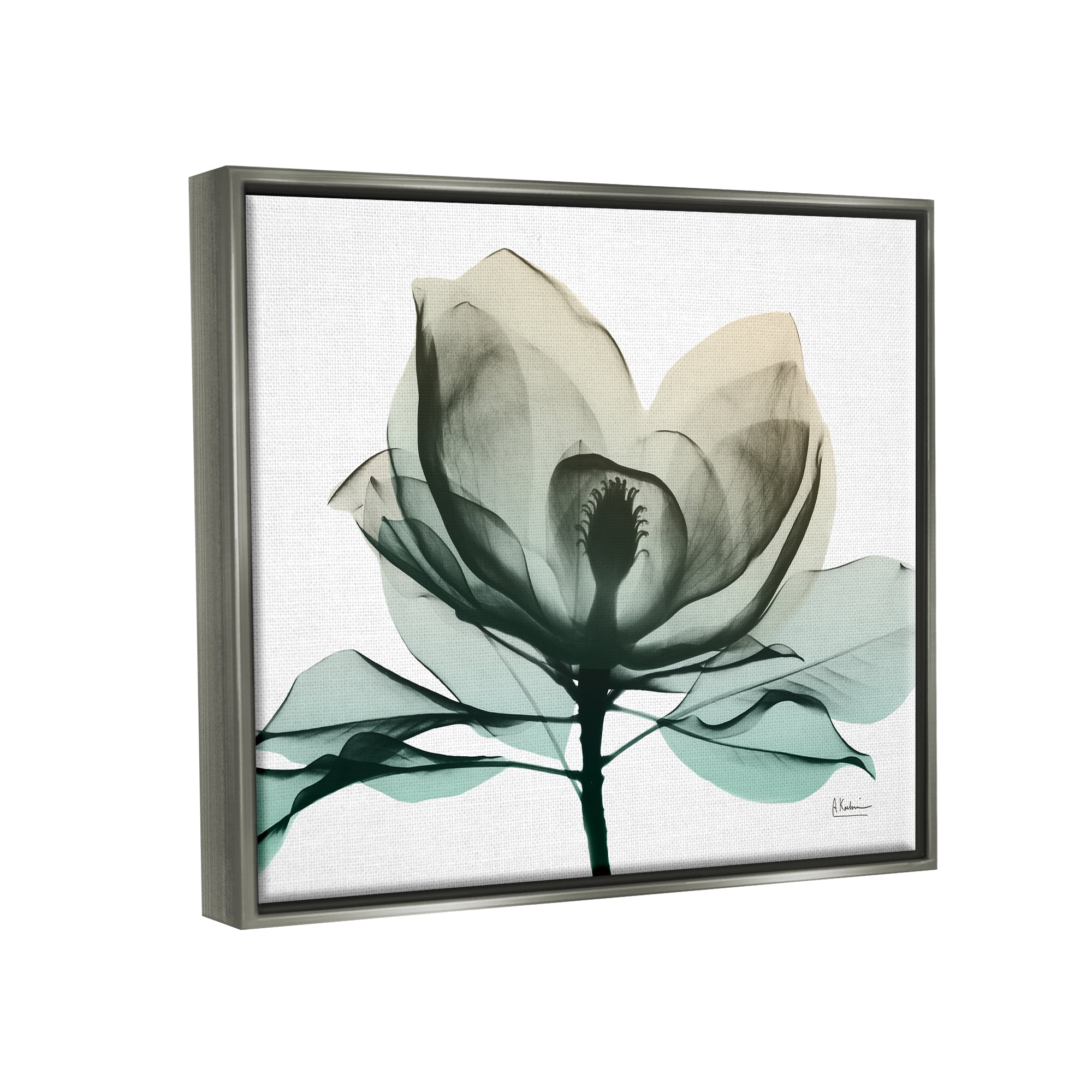 Stupell Industries Green X-Ray Flower Botanical & Floral Photography Gray Floater Framed Art Print Wall Art, 31 x 25