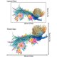 thumbnail image 3 of Adhesivos de pared de PVC con estampado floral de pavo real, colores, 35 x 60 cm, 3 of 3