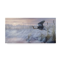 Trademark Fine Art 'Rising Marsh' Canvas Art by Wilhelm Goebel