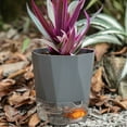 thumbnail image 3 of CNKOO Elegant Water Absorbing Flower Pot Visible Water Level Large Flower Pot for Living Room Bedroom Study, 3 of 7