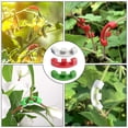 thumbnail image 4 of Sujetador de entrenamiento de bajo estrés con clip para sujetar ramas de plantas, 45 piezas, 4 of 4