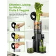 thumbnail image 6 of Juilist Juicer Machine for Fruits and Vegetables, BPA-Free, High Juice Yield, 60 RPM, Easy to Clean, Includes Cleaning Brush, Black, 6 of 10