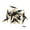 Black, variant on 50 Pieces Eye Shadow Applicator Eyeshadow Disposable Sponge Tip Dual Sides Brush Makeup Eye