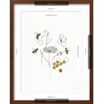 thumbnail image 5 of Art.com Bees and Botanicals V Art Print by Leah York, Brown Frame Wall Art, 17" x 21", 5 of 5