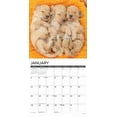 thumbnail image 3 of Poodle Puppies 2025 Wall Calendar, 3 of 5