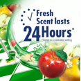 thumbnail image 3 of Fabuloso Nettoyant Tout Usage, Formule Concentrée 2X, Parfum Passion de Fruits, 16,9 Fl Oz, 3 of 5
