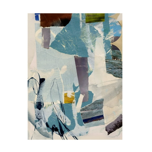 Trademark Fine Art Victoria Barnes Cache Collage I Canvas Wall Art