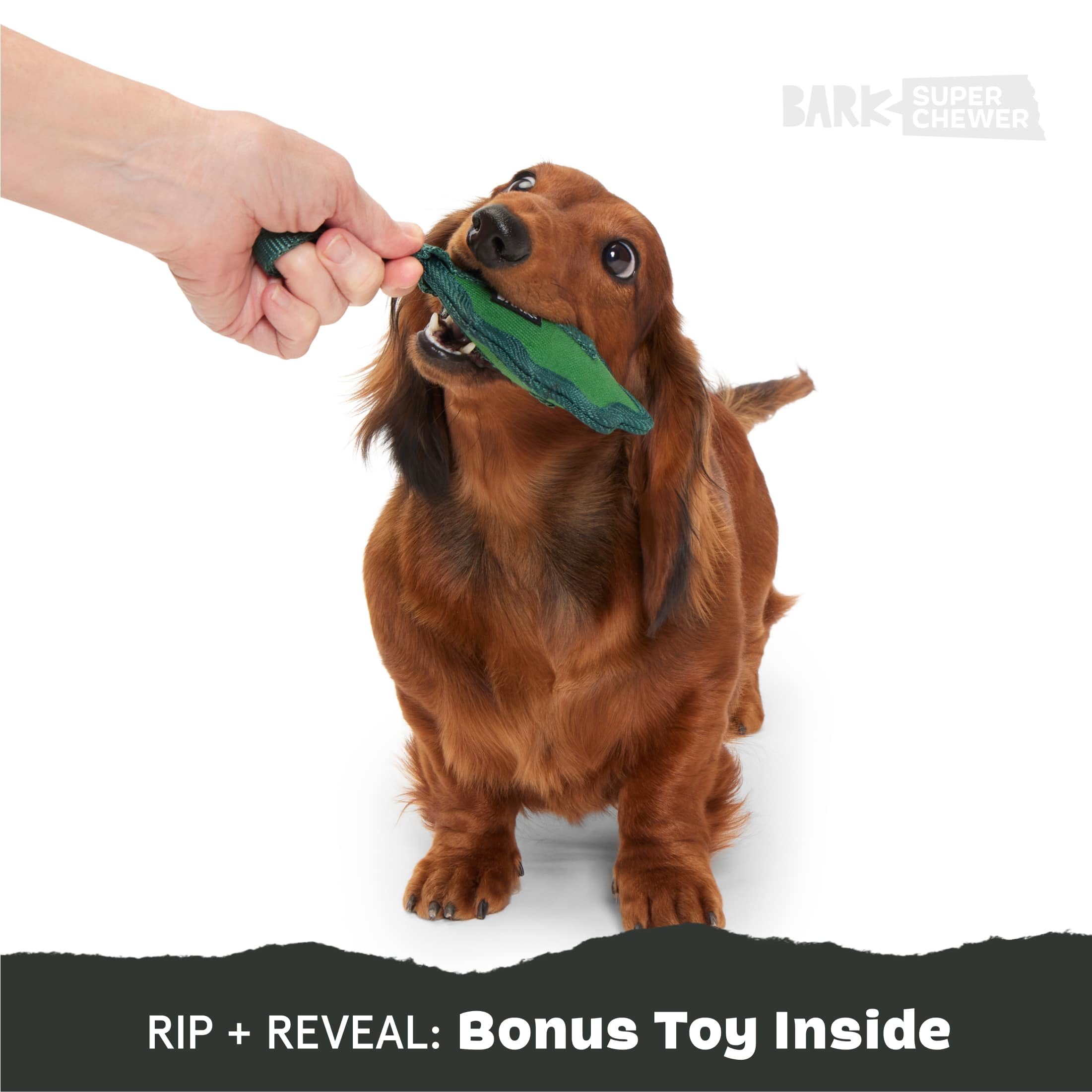 BARK Super Chewer A Green Chew Leaf, Green Leaf Rubber Dog Toy S