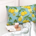 thumbnail image 6 of Vsdgher Lemon Print Pillow Cases -Iconic Collection Pillowcases -Extra Soft, Not easy to deform,not pilling Export quality, 6 of 8