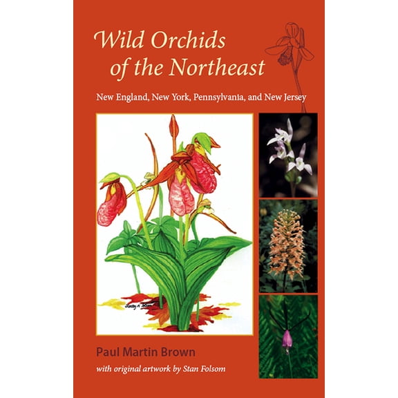 Wild Orchids of the Northeast: New England, New York, Pennsylvania, and New Jersey, (Paperback)