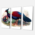 thumbnail image 3 of Designart ' Ancient Birds In The Wild II ' Traditional Canvas Wall Art Print, 3 of 3