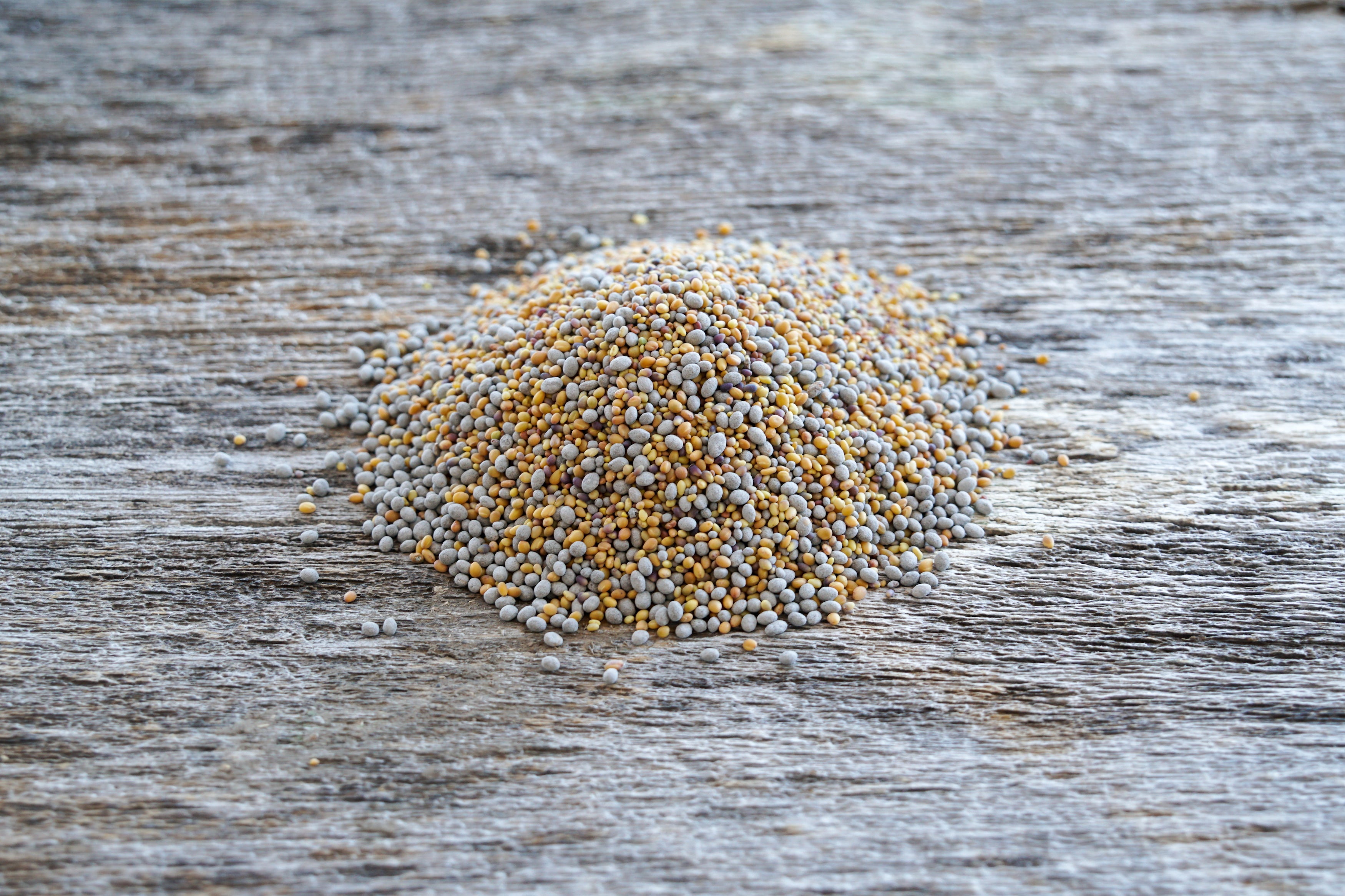 Hale Habitat & Seed Completely Clovers Food Plot Seed Mix, Perennial Year-Round Attractant, 1/2 Acre