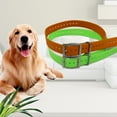 thumbnail image 3 of Correa básica para collar de perro, 3 of 5