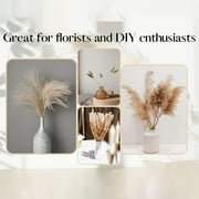 110 Pcs Natural Dried Pampas Grass Bouquet, Bunny Tails Dried Flower, Long-Lasting Dried Flowers Bouquet for Home Wedding Decor, 17 (Without Vase)