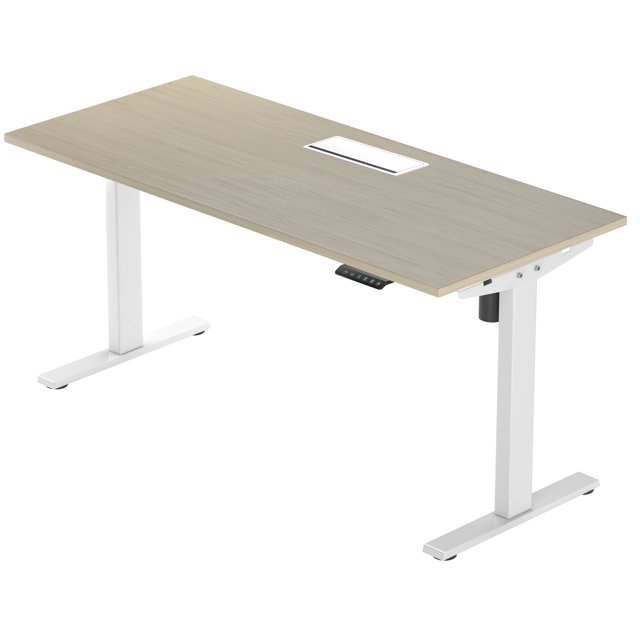 PROGRESSIVE DESK Bureau Debout Électrique Bureaux Debout Réglables en Hauteur, de Haute Qualité, 60 "X 30" - Economy Ryzer