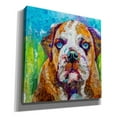 thumbnail image 2 of Epic Graffiti 'Bull Dog' by St. Hilaire Elizabeth, Canvas Wall Art, 12"x12", 2 of 8