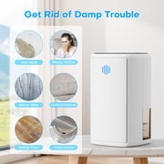 Breezome 37OZ Compact Dehumidifier for Home, Dehumidifiers with Auto Shutoff, Auto Defrost, Ultra-Quiet Energy Saving for Small Areas like Bathrooms, Closets, and RVs