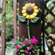 thumbnail image 3 of 2 ganchos de girasol de metal vintage para decoración de llaves para el hogar, oficina, baño, 11 Feliz Sencillez, 3 of 5