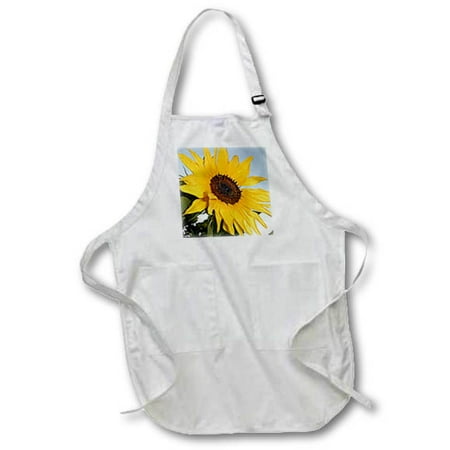 

Sunflower Medium Length Apron with Pouch Pockets 22w x 24l apr-763-2