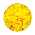 thumbnail image 1 of Nvzi 2 pompones metálicos para animadoras, para equipos de animación de fútbol, baloncesto, deportes, baile, fiestas, pompones de plástico (amarillo), 1 of 2