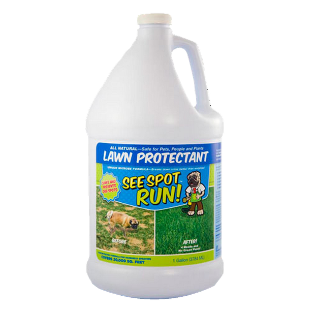 See Spot Run Lawn Protectant - Cures and Prevents Dog ...