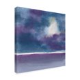 thumbnail image 2 of Trademark Fine Art 'The Clouds I' Canvas Art by Chris Paschke, 2 of 3