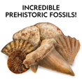 thumbnail image 2 of National Geographic 200 Piece Rock and Fossil Kit - Includes Prehistoric Fossils, Crystals, and Gemstones, 2 of 6