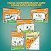 thumbnail image 3 of Channie's Visual Handwriting & Math Workbook Bonus Pack of 5 PreK-1st, 3 of 4