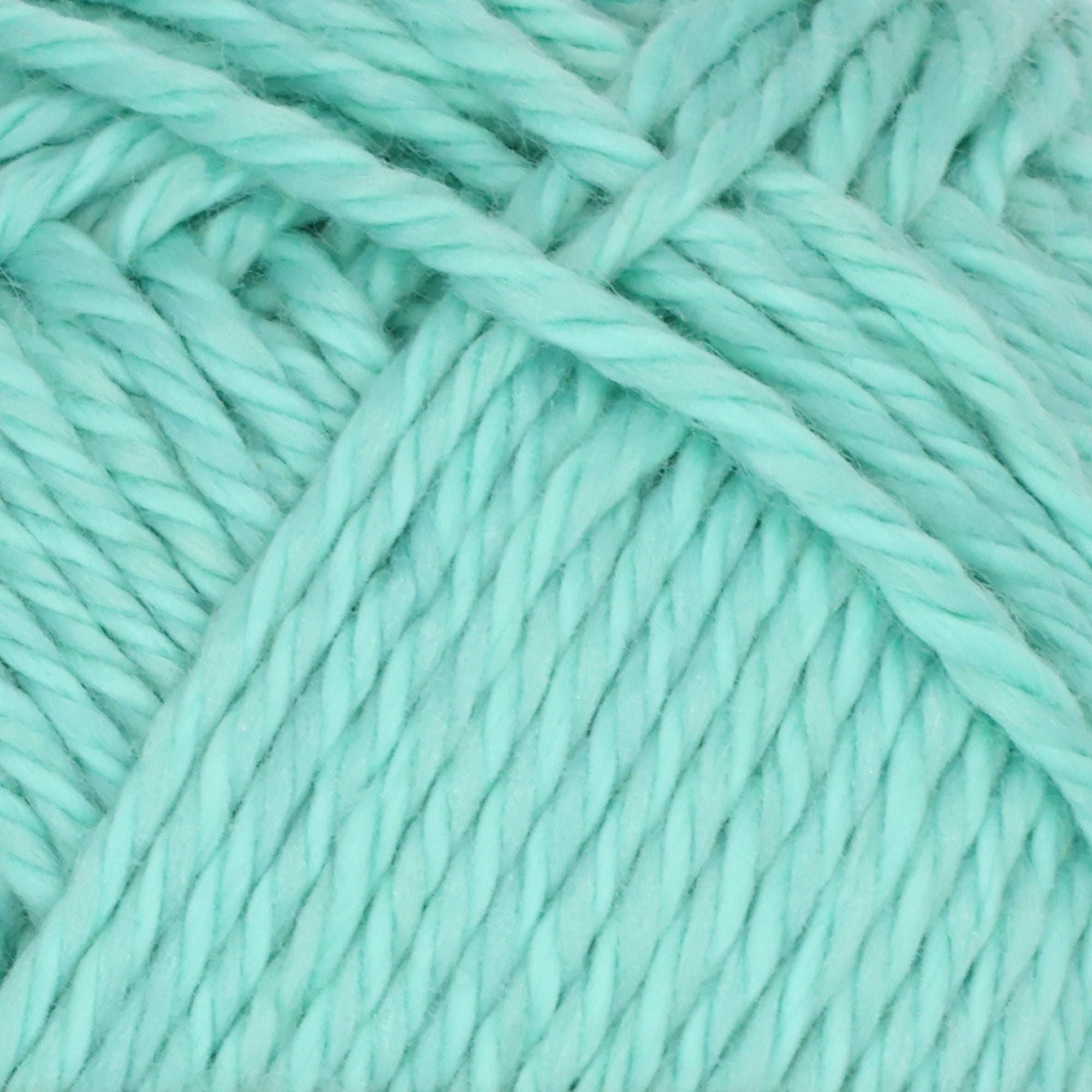 Simply Sweet Yarn - 2 Skeins - Marina Green - Color 108