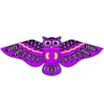 thumbnail image 1 of Kjfeif Beginner Friendly Owl Design Kite Set, Easy to Fly and Assemble for Beach or Park, Complete with String for Fun Family Outdoor Activities and Kids Ages 5+, 1 of 4