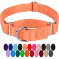 thumbnail image 1 of LAICAIW-Mango Martingale Heavy Duty Nylon Dog Collar-21 Vibrant Color Options (3/4 Inch Width, Small), 1 of 7