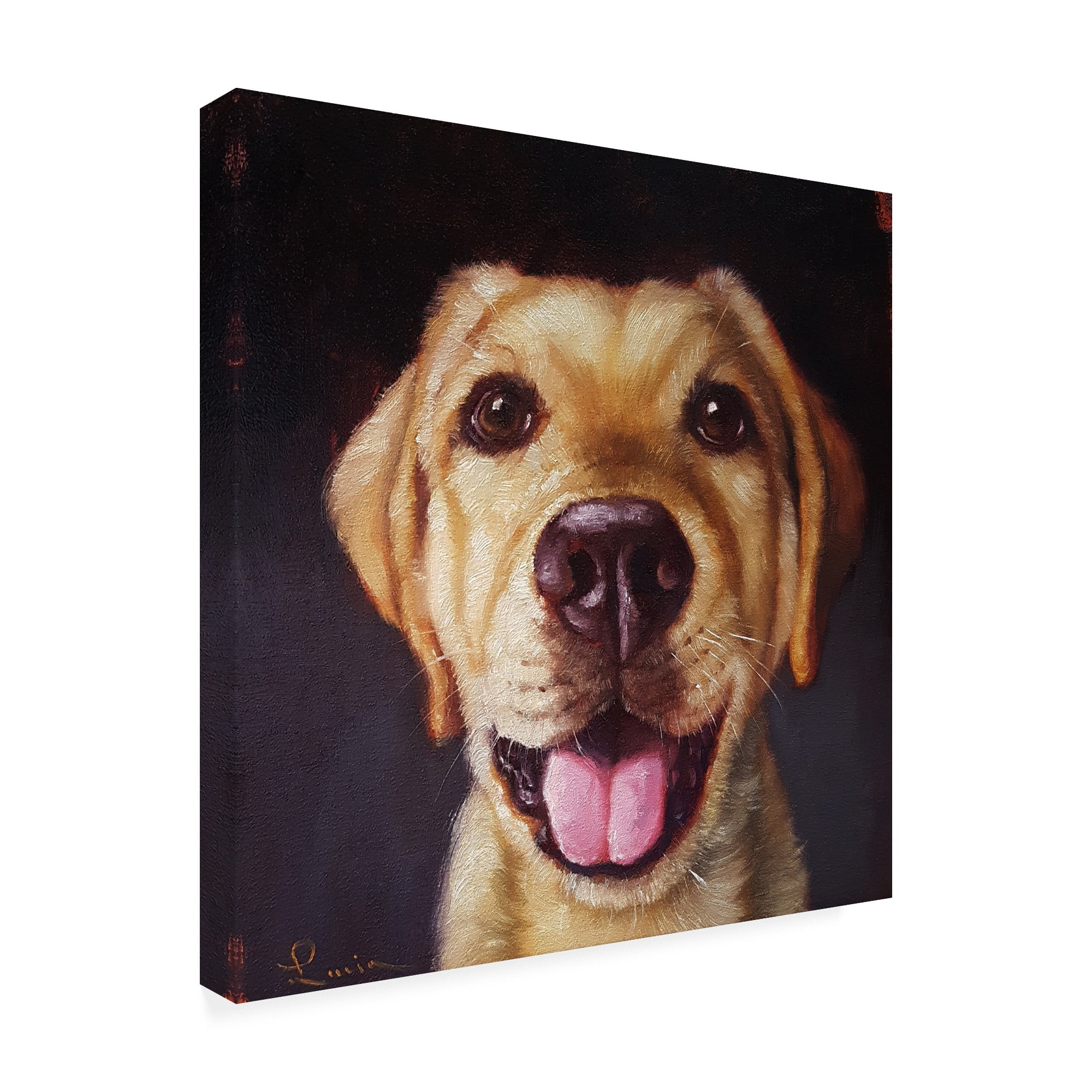 Trademark Fine Art 'Follow Your Nose 13' Canvas Art by Lucia Hefferna