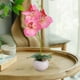 thumbnail image 4 of Bonsái De Orquídea Artificial De Tela 1 unidad de orquídea Phalaenopsis de seda rosa artificial en maceta de cerámica,bonsái de flor artificial alto para decoración del hogar. Rkxzt, 4 of 8