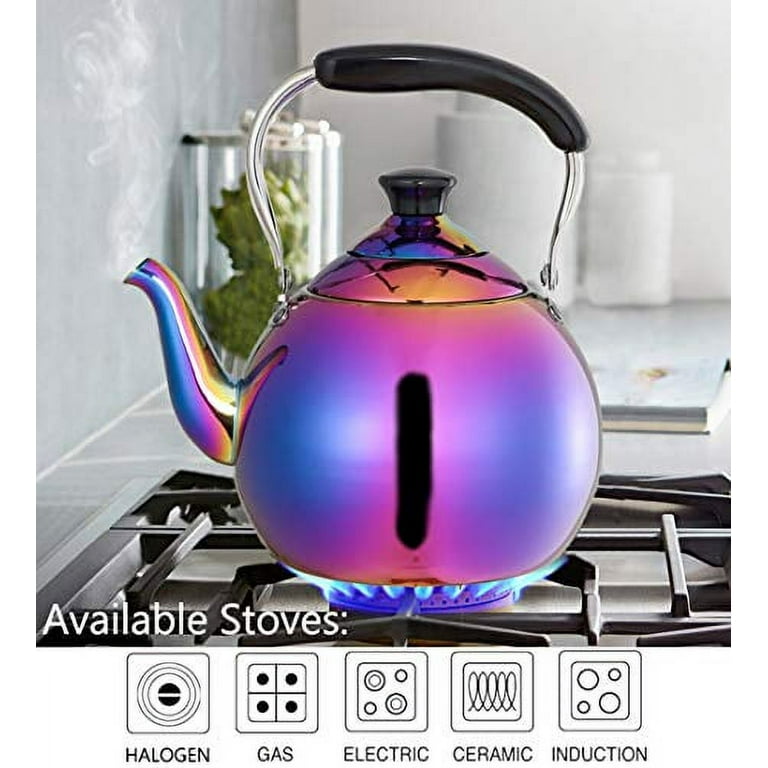 ROYDOM Whistling Tea Kettle Stainless Steel Teapot, 2-Liter