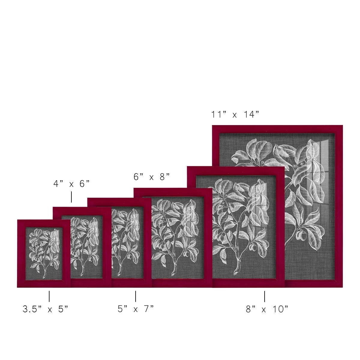Graphic Foliage I - Framed Print w/glass - Cherry Red