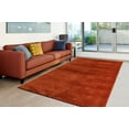 thumbnail image 1 of LaDole Rugs 3x5 ft Fluffy Shaggy Area Runner Rug | Machine Washable Carpet For Entry Way, Hallway, Entrance Décor | Copper Mustard, 1 of 1