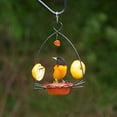 thumbnail image 5 of Birds Choice 3-oz. Oriole Flower Feeder, Orange, 5 of 5