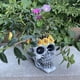 thumbnail image 5 of Maceta de resina con forma de calavera, diseño creativo en 3D, maceta para suculentas. flor de sol, 5 of 9