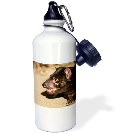 3dRose Australia, Tasmanian Devil wildlife-AU01 RJA0023 - Rebecca Jackrel, Sports Water Bottle, 21oz